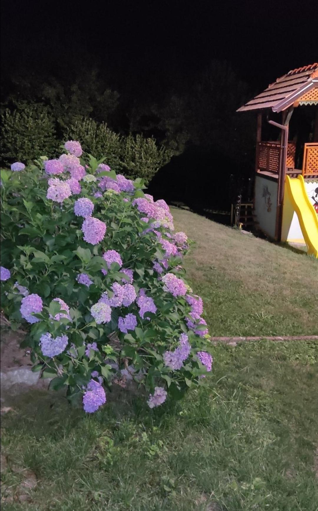 Holiday Home Pharaoh Visoko Exterior foto